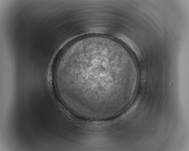 X0000102280923200808081459