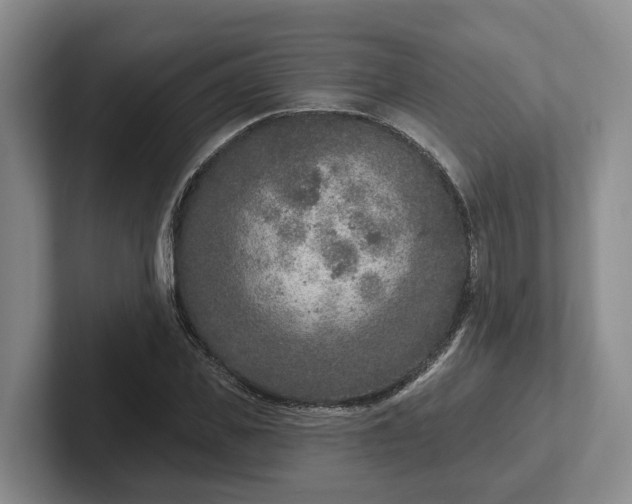 X0000102280925200808081459