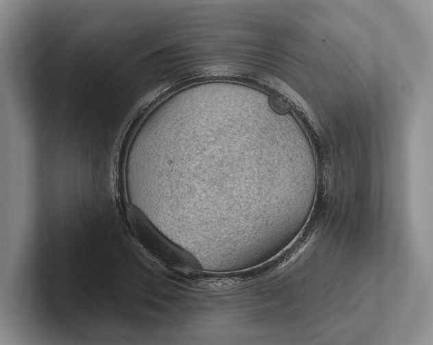 X0000102280930200808081459