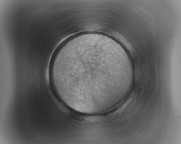 X0000102280932200808081459