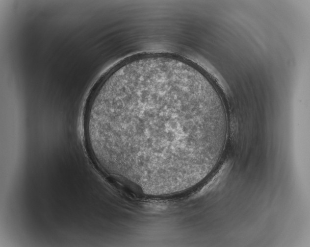 X0000102280935200808081459