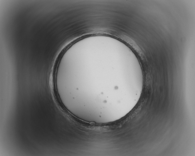 X0000102280936200808081459