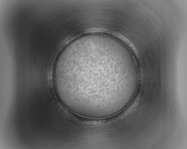 X0000102280937200808081459