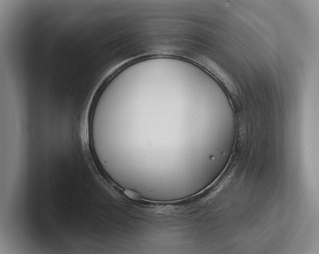 X0000102280940200808081459