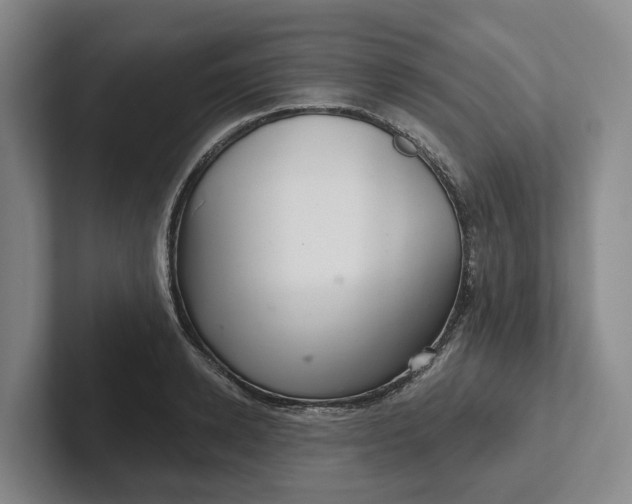 X0000102280942200808081459