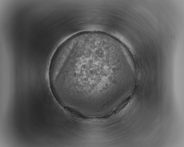 X0000102280943200808081459