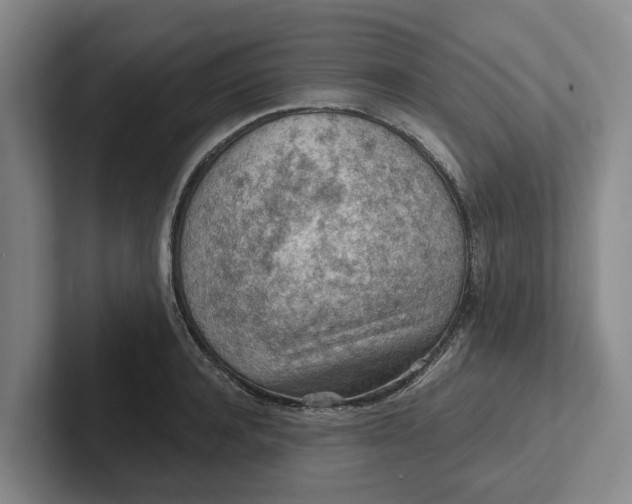 X0000102280944200808081459