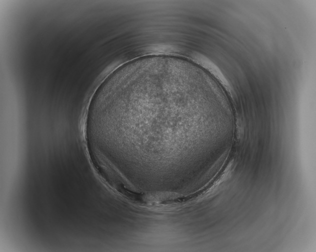 X0000102280946200808081459