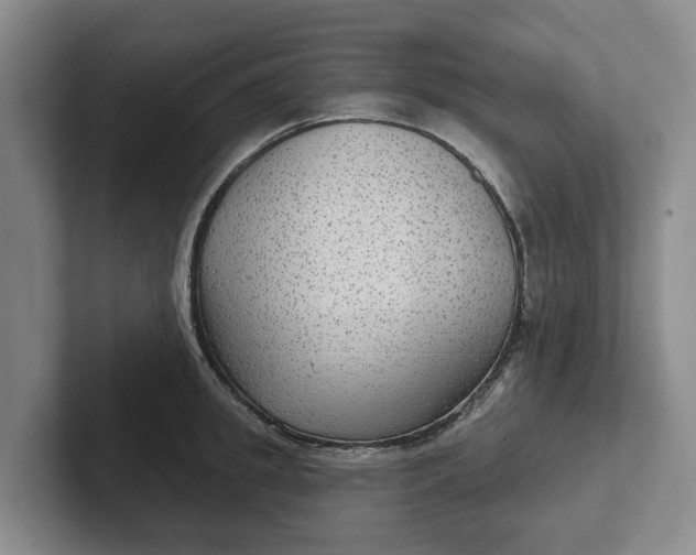 X0000102280949200808081459