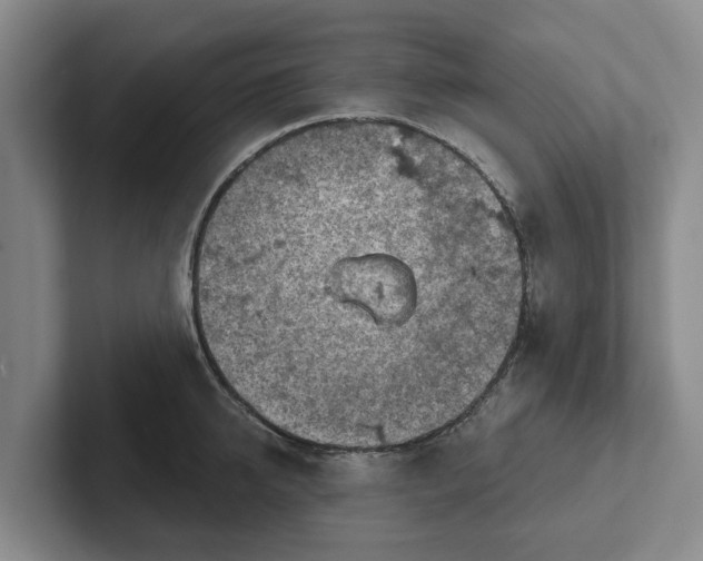 X0000102280950200808081459