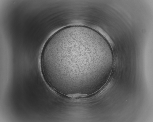 X0000102280951200808081459