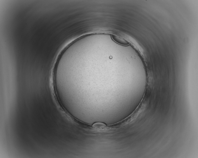 X0000102280952200808081459