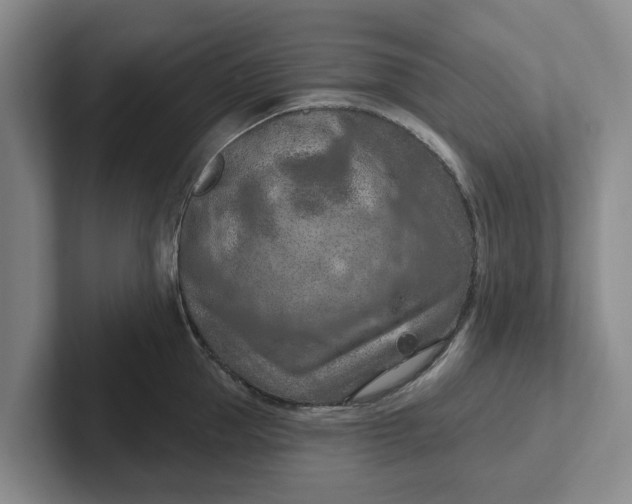 X0000102280953200808081459