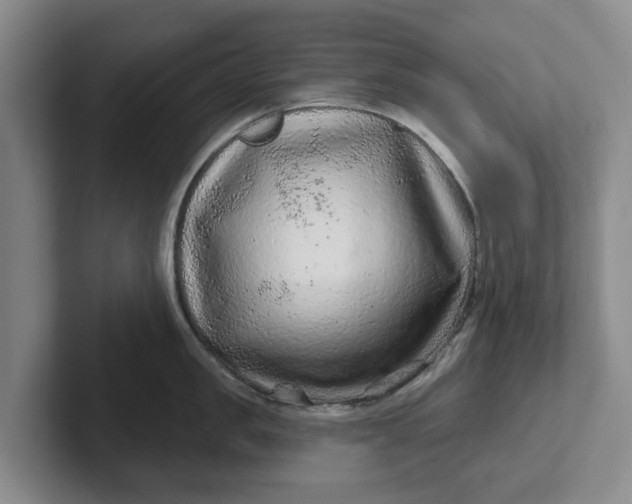 X0000102280957200808081459