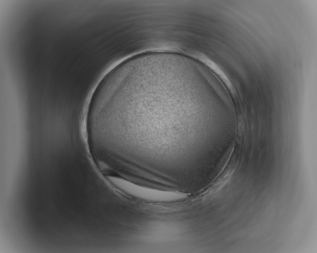 X0000102280959200808081459