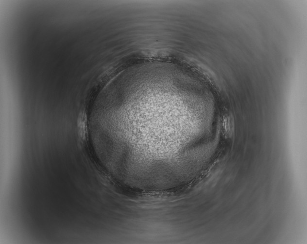 X0000102280963200808081459