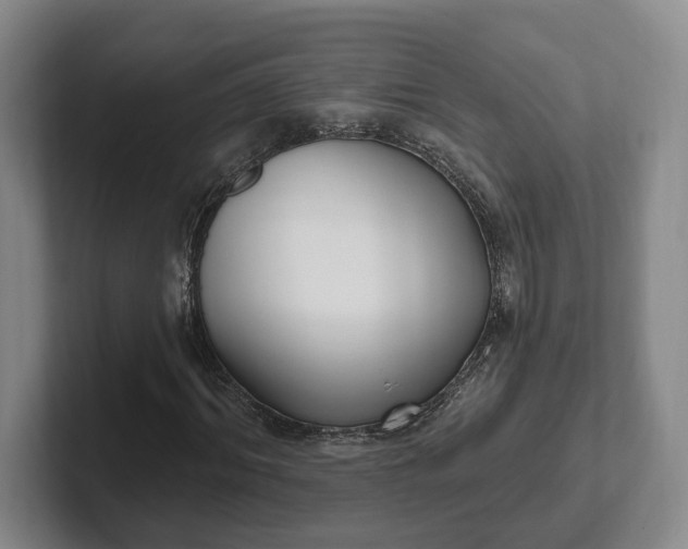 X0000102280964200808081459