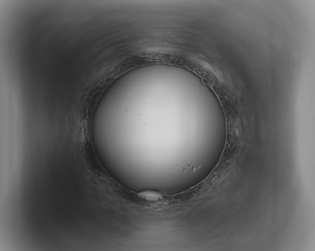 X0000102280965200808081459