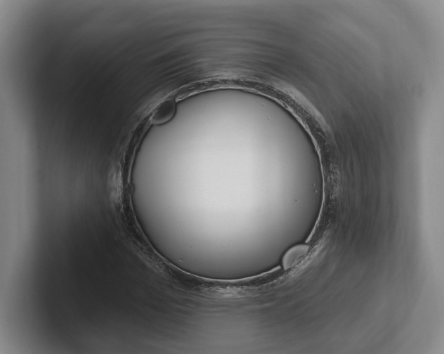 X0000102280969200808081459