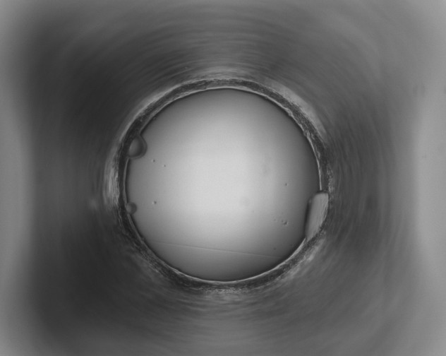 X0000102280973200808081459