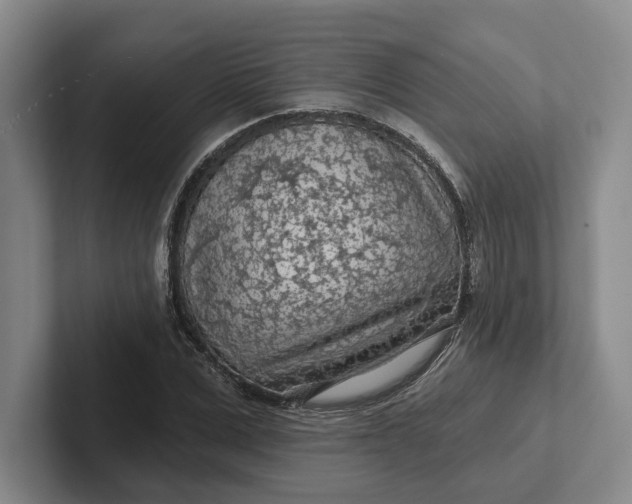 X0000102280975200808081459