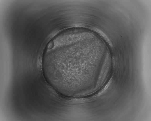 X0000102280977200808081459