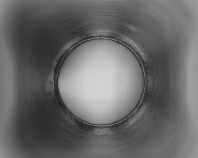 X0000102280978200808081459