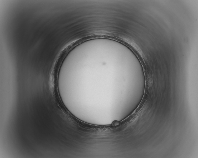 X0000102280979200808081459