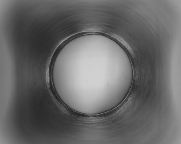 X0000102280980200808081459