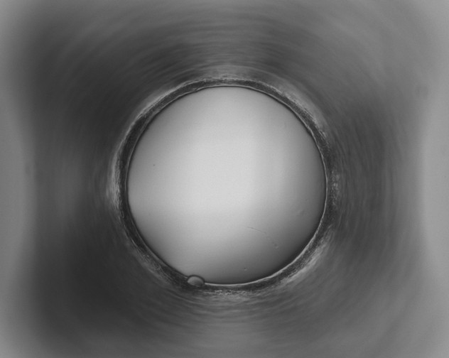 X0000102280981200808081459