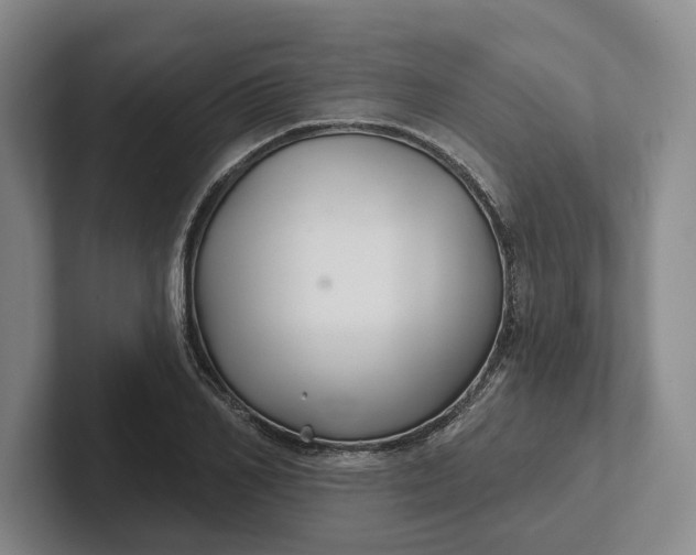 X0000102280982200808081459