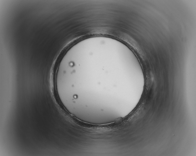 X0000102280984200808081458