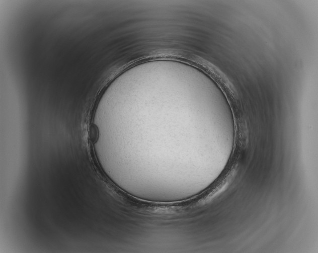 X0000102280985200808081458