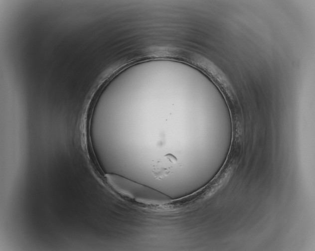 X0000102280986200808081458