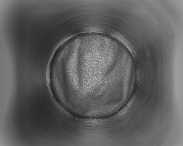 X0000102280987200808081458