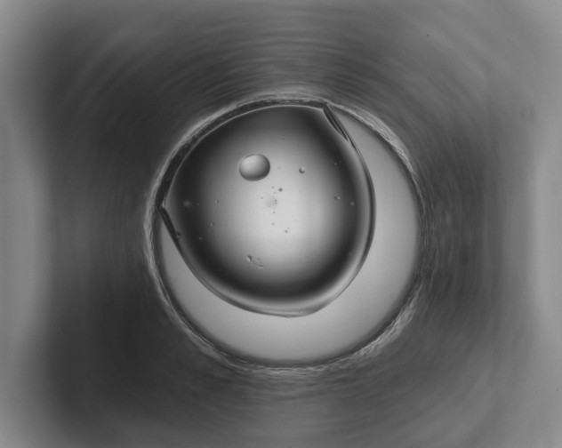 X0000102280989200808081458