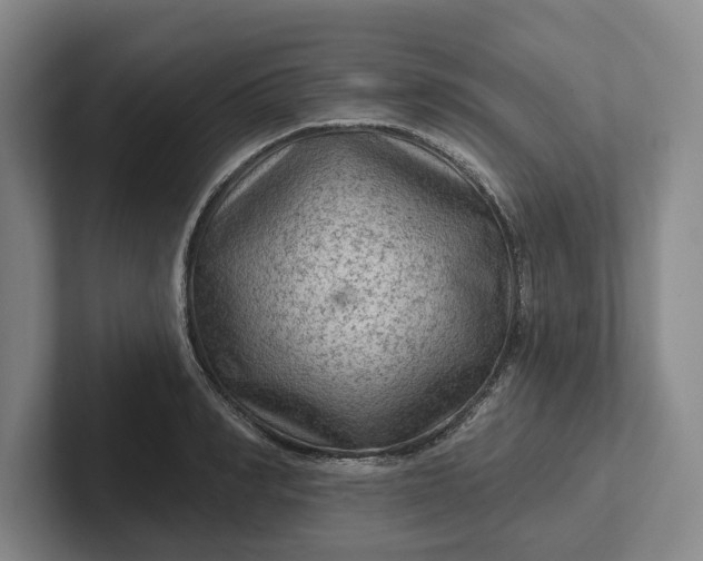 X0000102280990200808081458