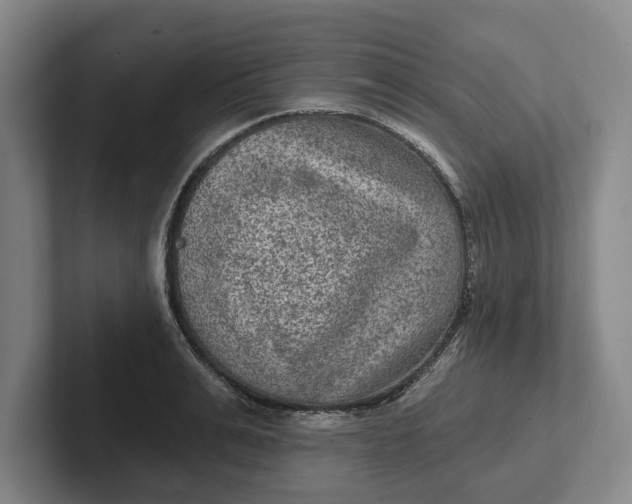 X0000102280991200808081458