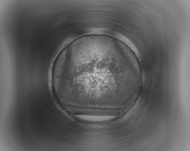 X0000102280994200808081458