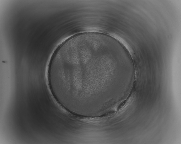 X0000102280995200808081458