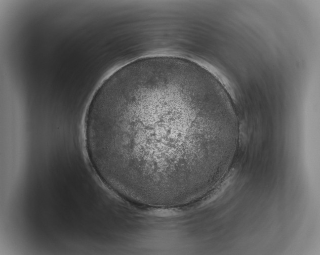 X0000102280998200808081458