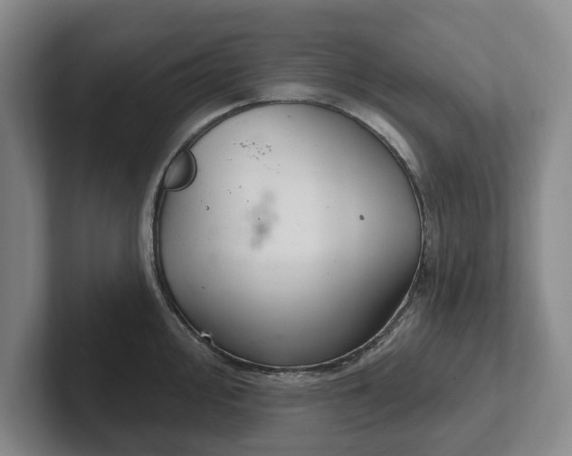 X0000102281000200808081458