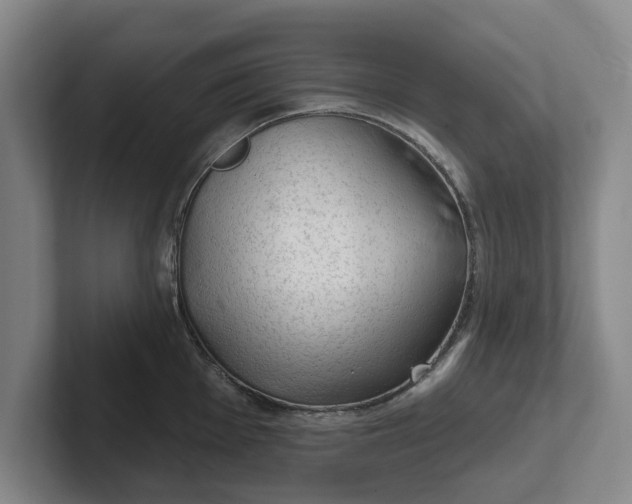 X0000102281001200808081458