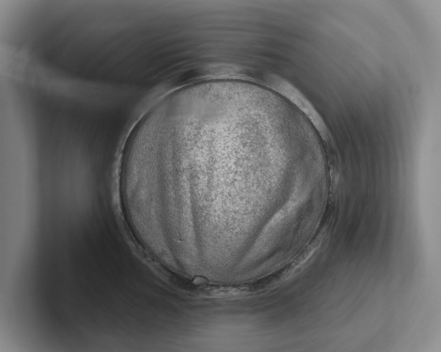 X0000102281002200808081458