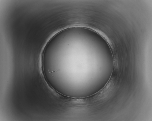 X0000102281006200808081458