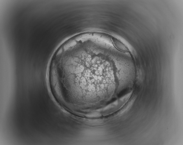 X0000102281007200808081458