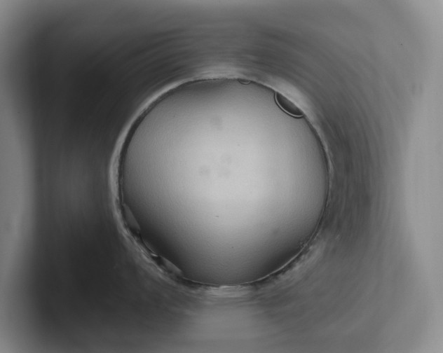 X0000102281008200808081458