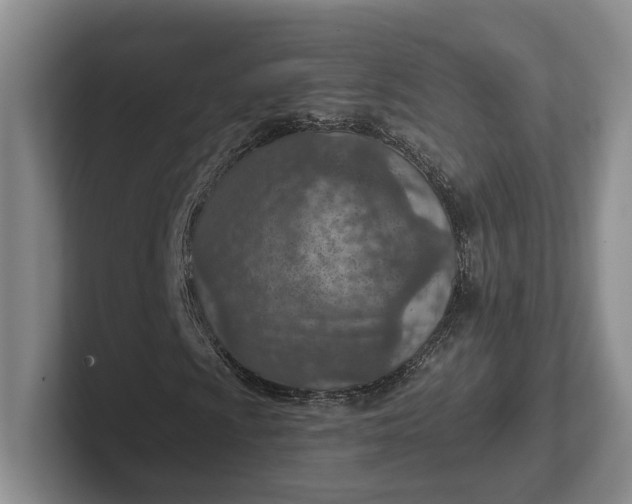 X0000102281009200808081457