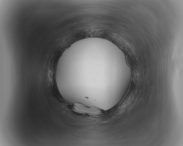 X0000102281010200808081458