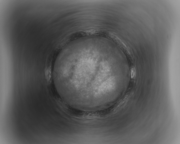 X0000102281011200808081458